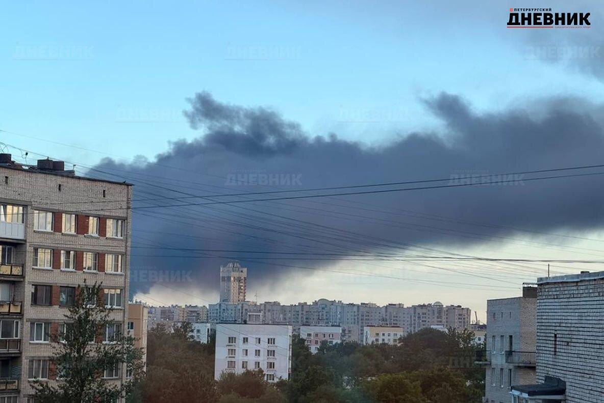 Фото: предоставлены очевидцами