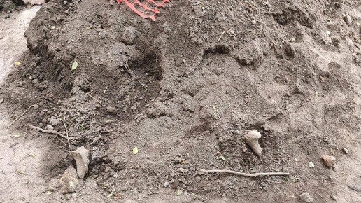В центре Рязани нашли человеческие кости