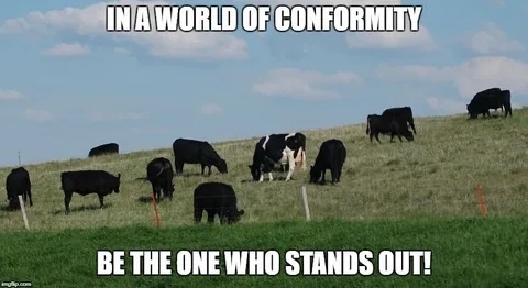 #phrasal_verb #фразовый_глагол #stand_out