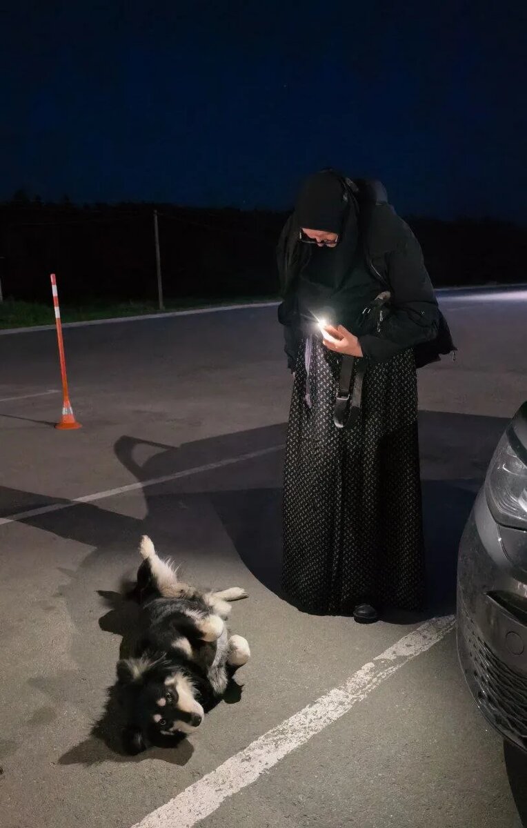 Уже ночью мы приехали удоствериться, что это та самая собака