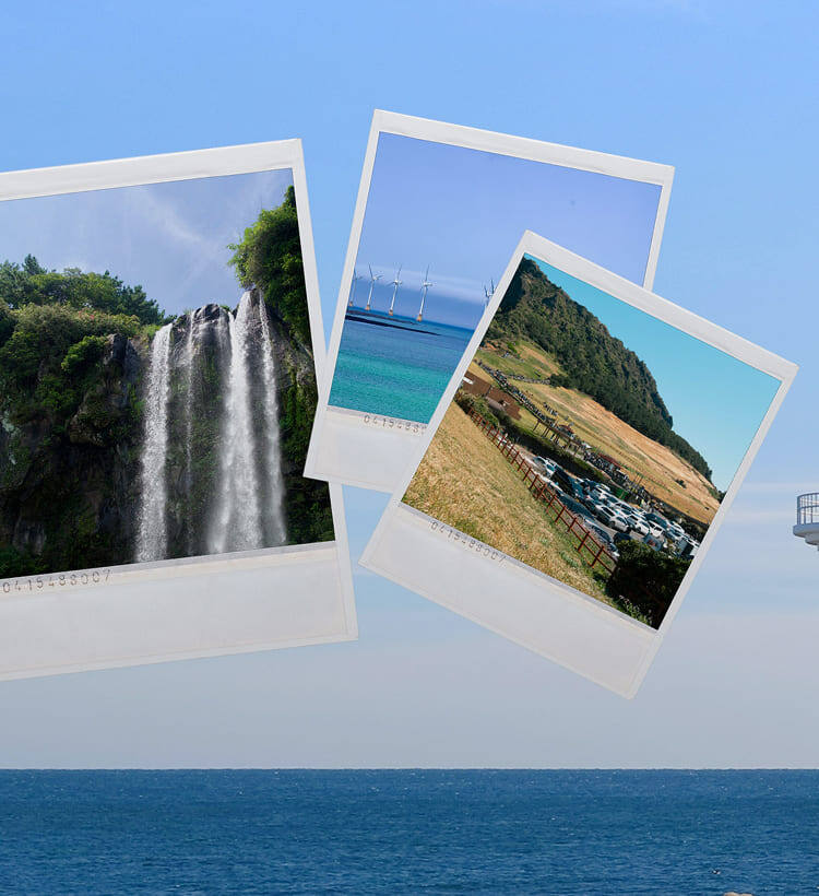 Фото: Shutterstock