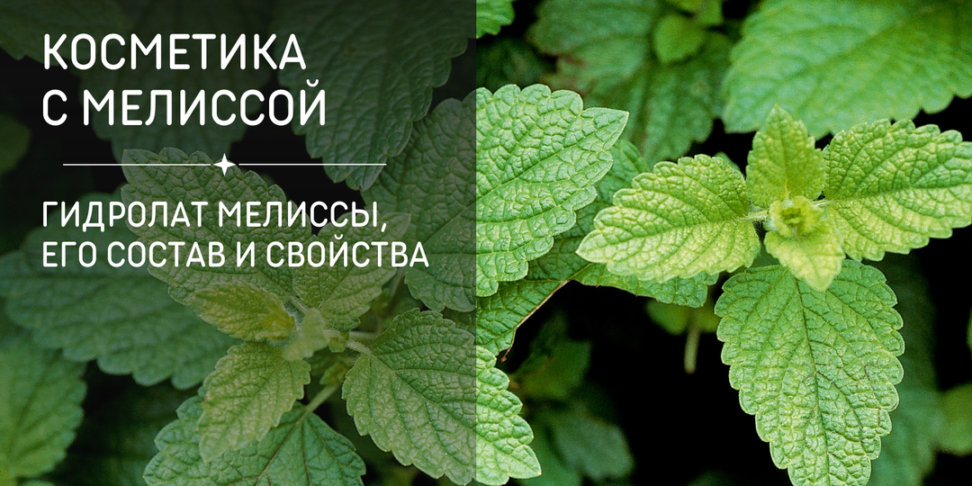 Мелисса НЕобыкновенная: что можно сделать полезного для кожи