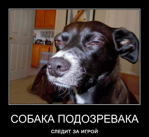 Логика проста: мы стимулируем вас следить за игрой.