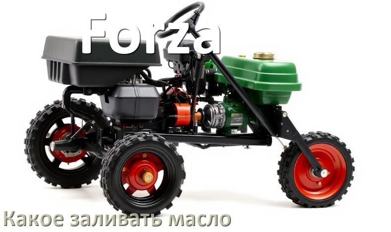 
Какое масло заливать в мотоблок Forza в редуктор и двигатель