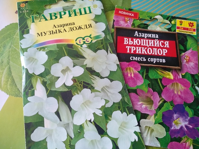Две упаковки с семенами