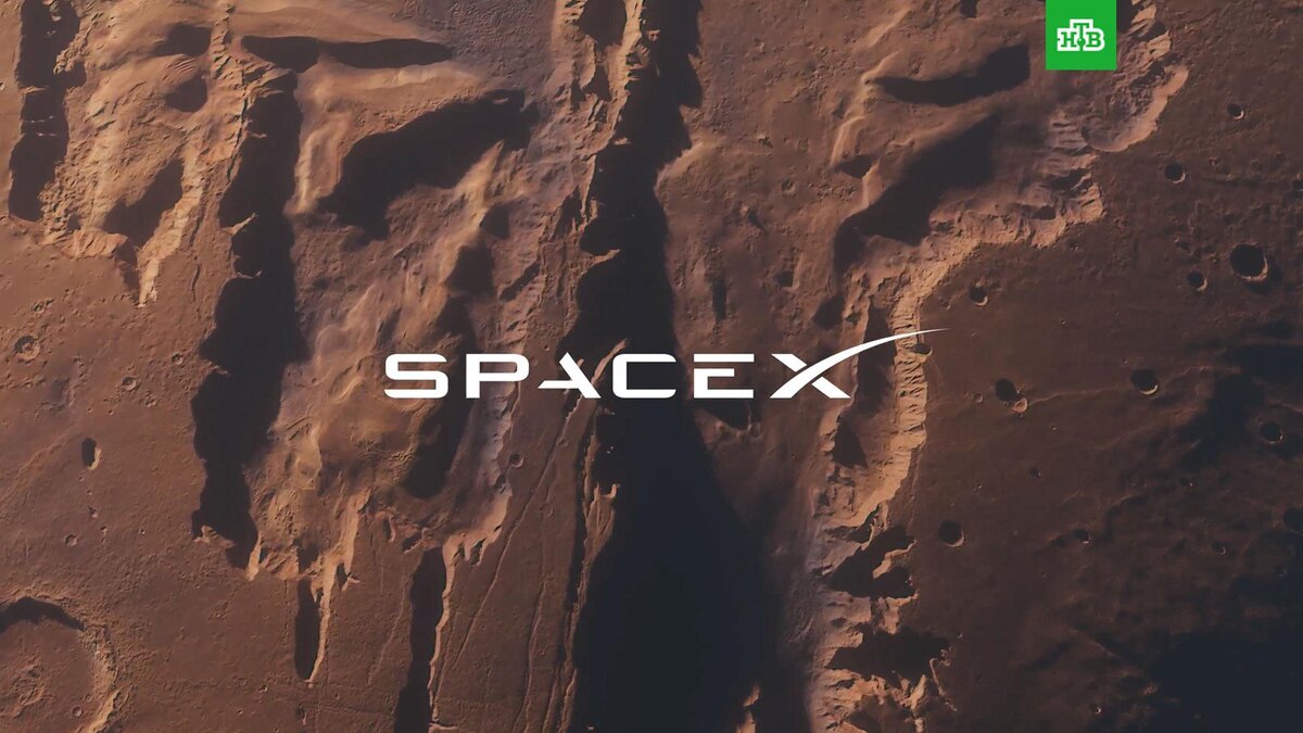    Фото: SpaceX / x.com