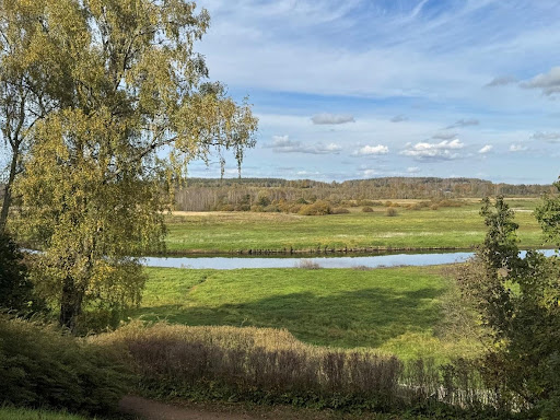 Пушкинские просторы / Фото автора
