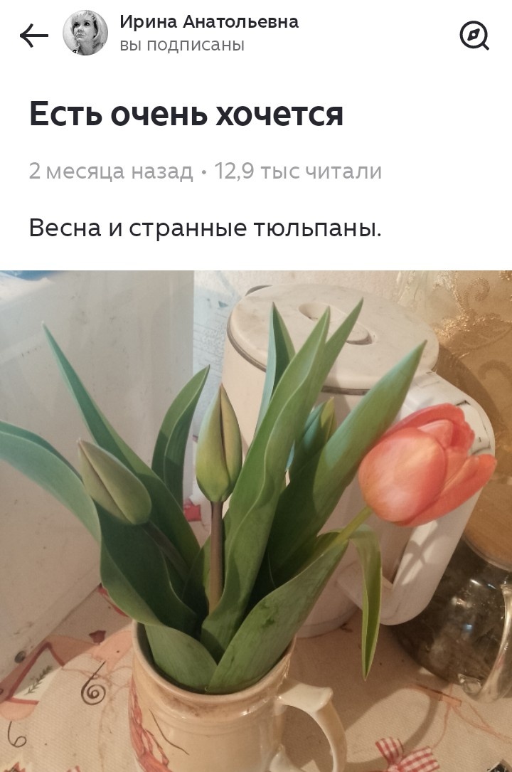 Скриншот с канала Ирины Анатольевны