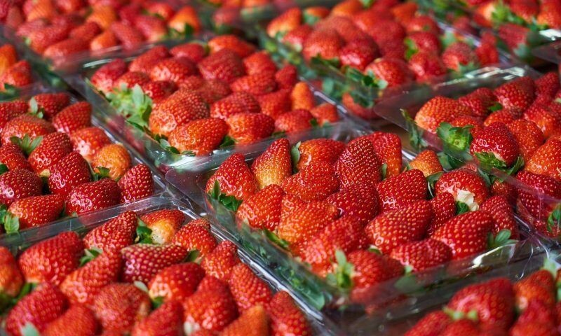    Фото pixabay.com