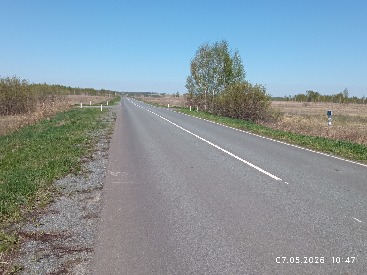 Автомобильная дорога в Курганской области. Просто обычное фото, выполненное при экспертном осмотре. 