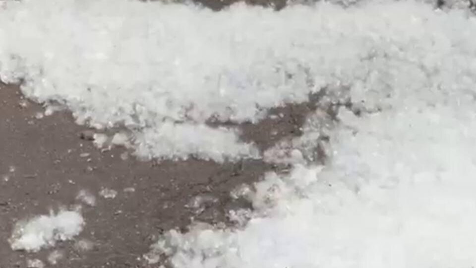 «Июньский снег» в Москве: столица замело тополиным пухом, а аллергикам советуют готовиться к испытаниям