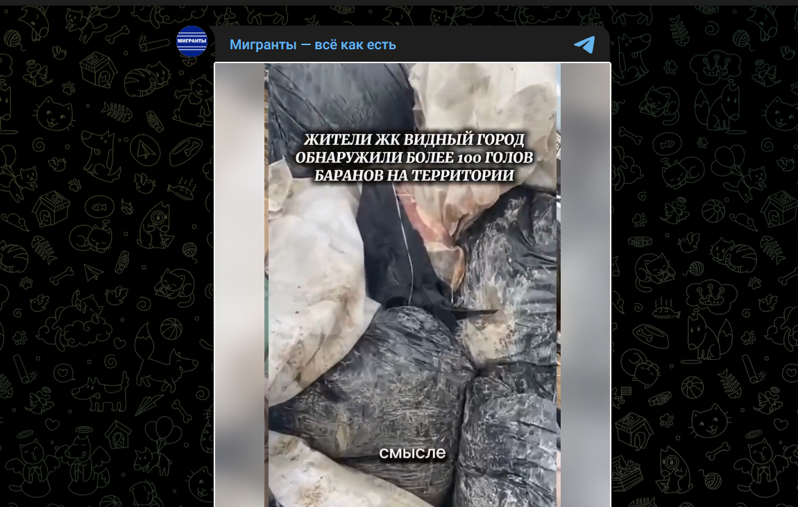 Фото: Telegram-канал "Мигранты - всё как есть"