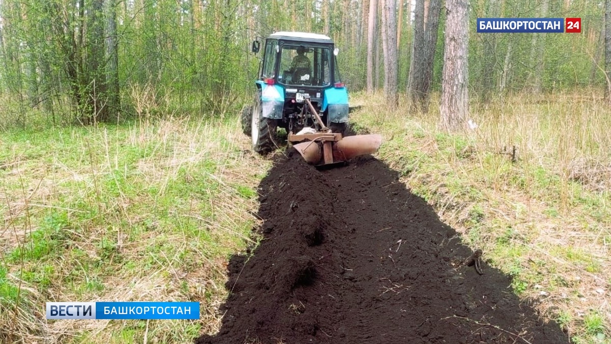    В Башкортостане продолжается обновление и создание минерализованных полос