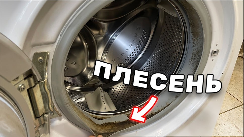 Грязь и плесень 