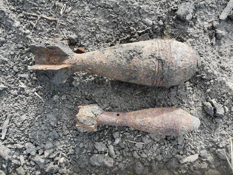     В Северном нашли две артиллерийские мины прошлого века, фото: пресс-служба ГУ МЧС по Белгородской области