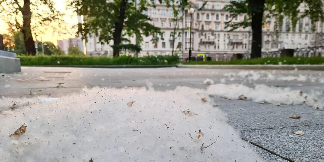Наталья Морозова КДЦ МОНИКИ: простые правила против аллергии
