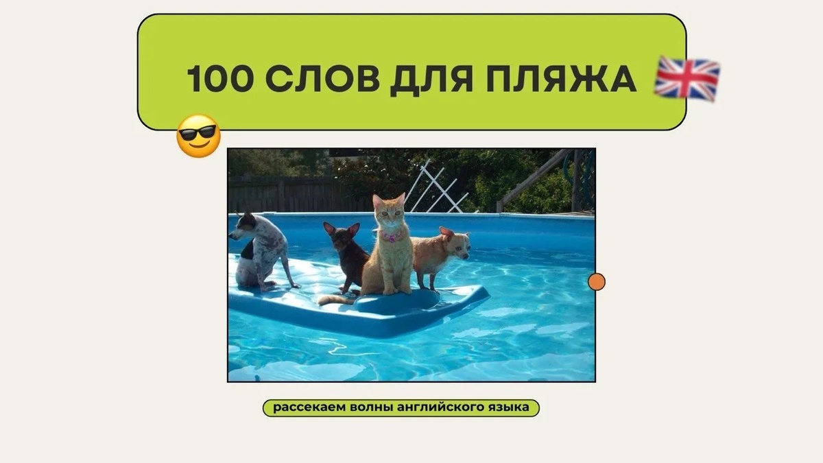 Изображение: Family English