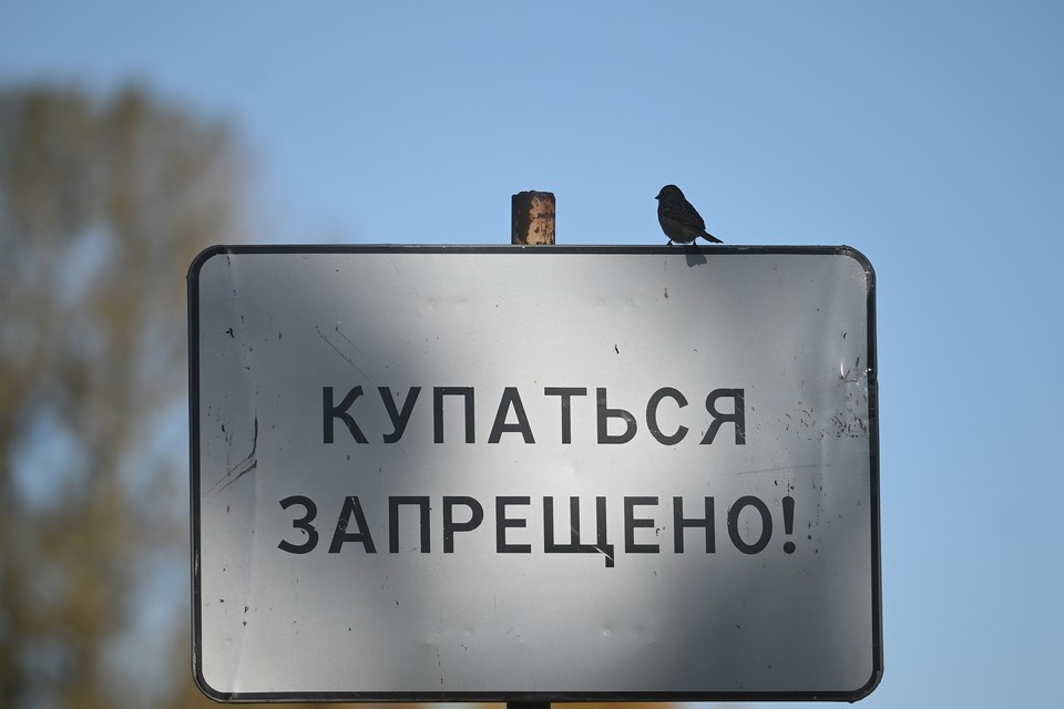    Столичный Роспотребнадзор запретил купаться в зоне отдыха «Тропарево» в Москве Алексей БУЛАТОВ