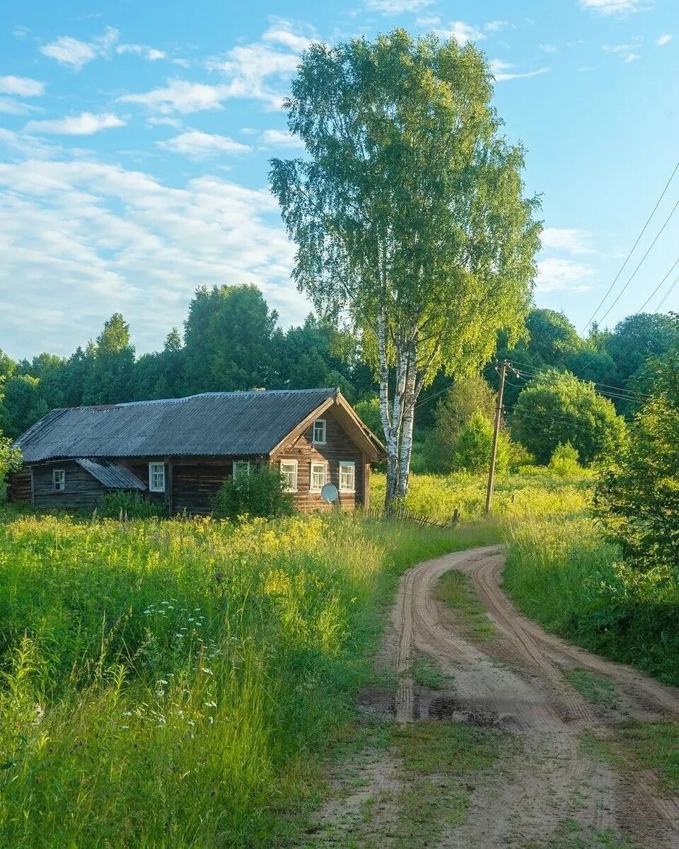 фото из открытого доступного источника сети интернет