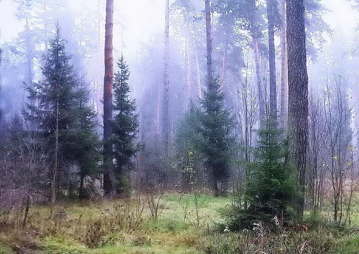 фото из интернета