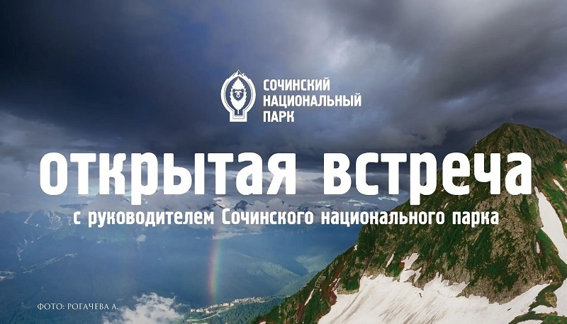 Источник: ИА ParkInfo