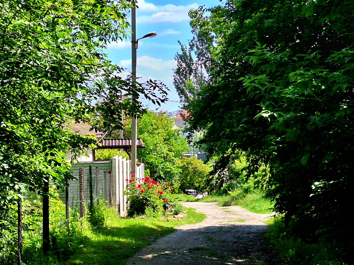 Моя улица.