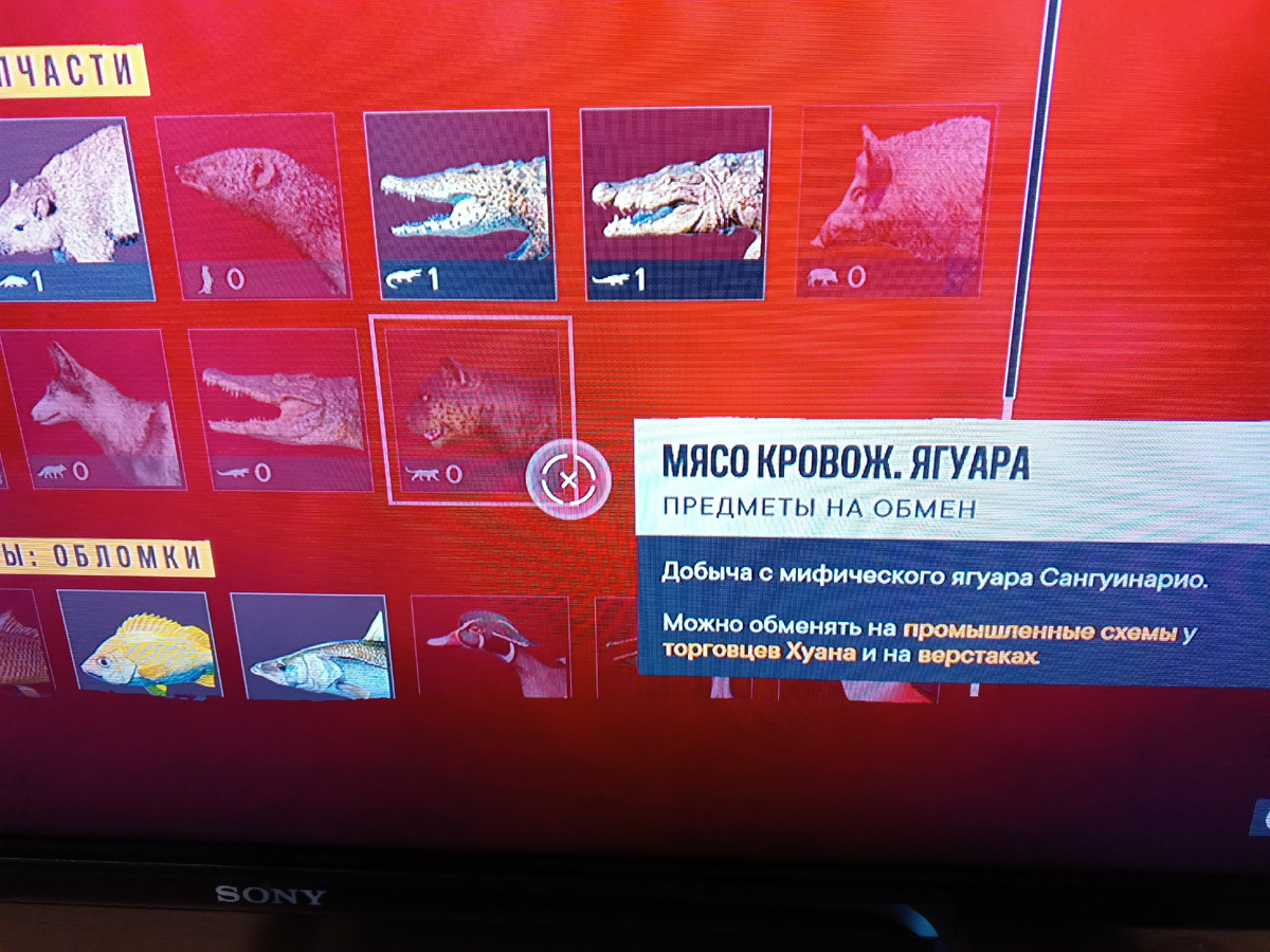 Вот эти трое: койот, крокодил и ягуар