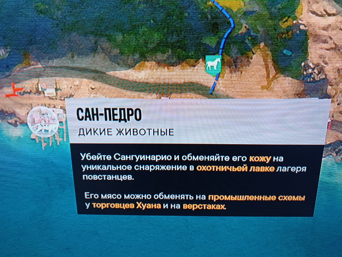 Этого я так и не дождался. Судя по всему, он ночной зверь
