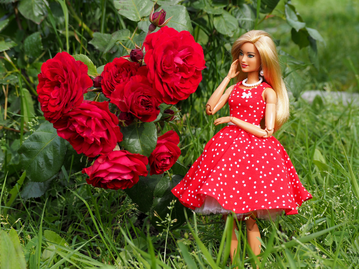 Barbie Fashionistas 113.