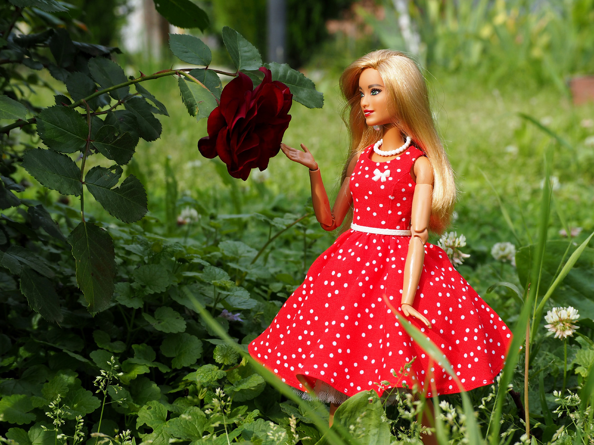Barbie Fashionistas 113.
