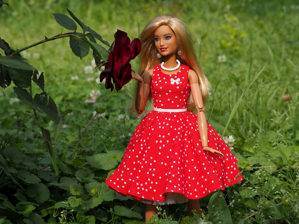 Barbie Fashionistas 113.
