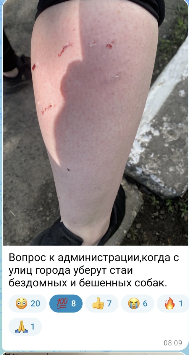 Скрин из городского паблика
