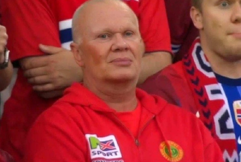 Двойники Эрлинга Холанда