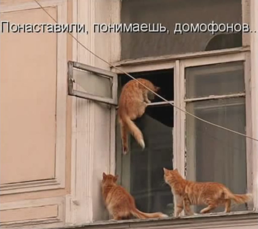 источник Яндекс-картинки