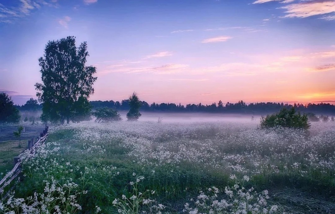 Яндекс.