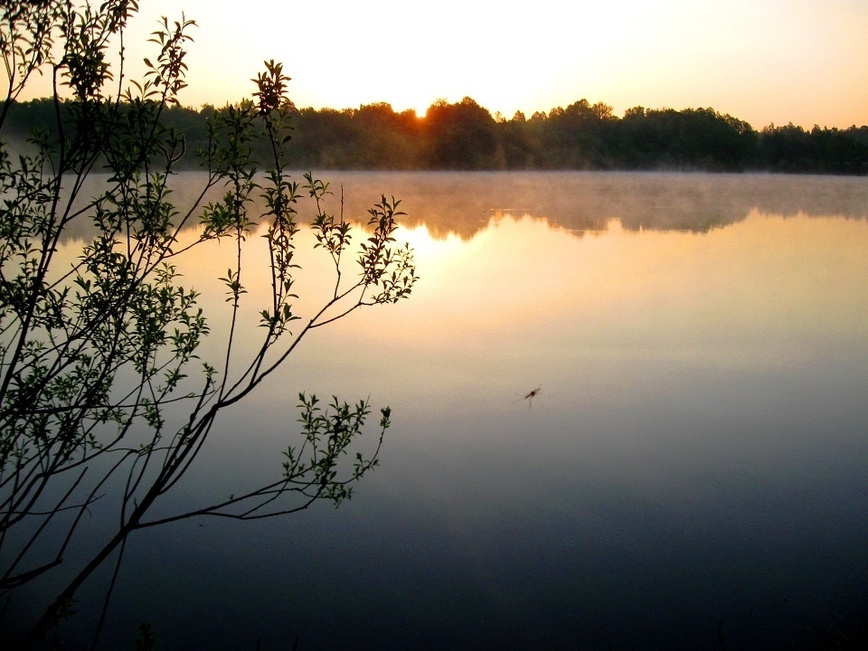     Фото автора.