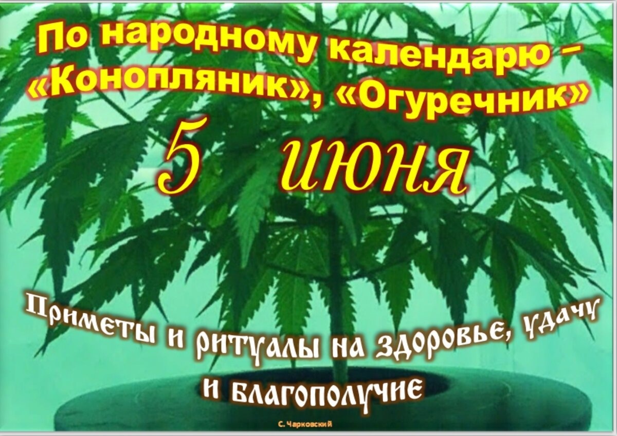 Встречаем новый день