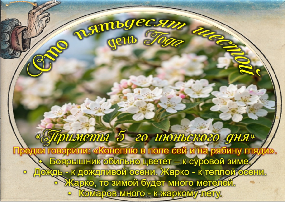 Встречаем новый день