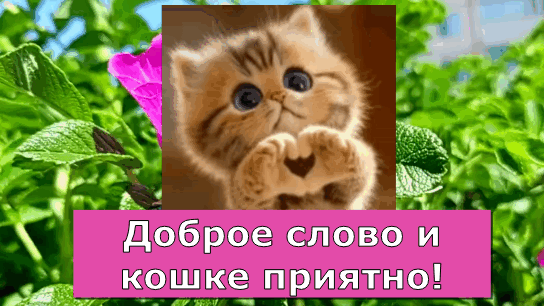 -4