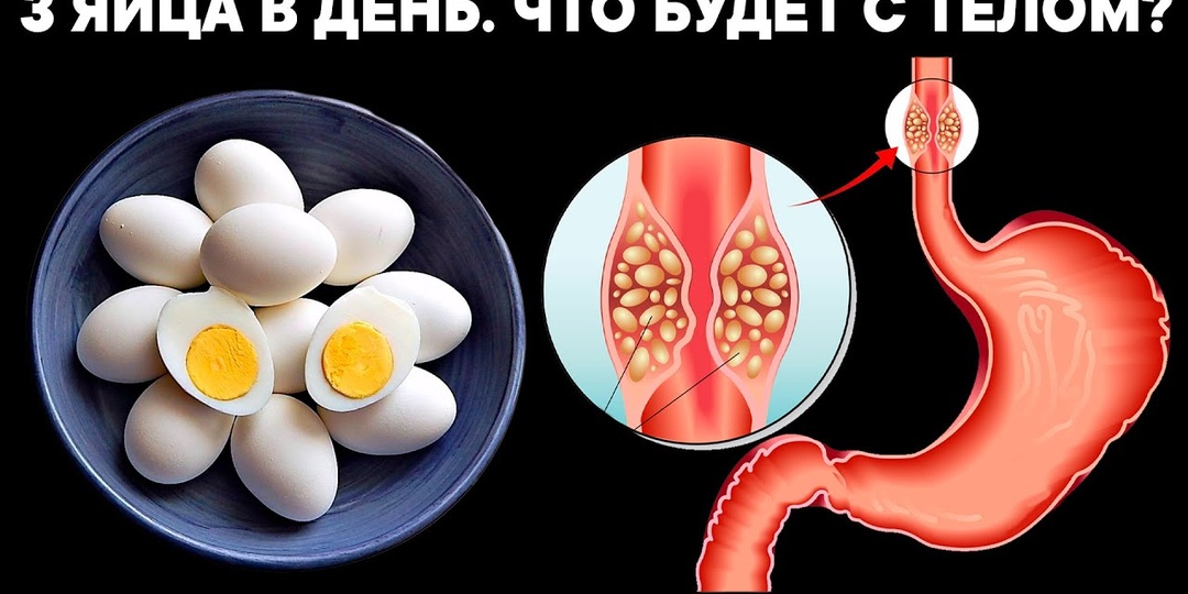 Узнала ответы на два главных вопроса: сколько яиц можно есть в день и в каком виде