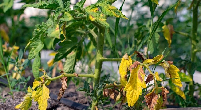 фото 123RF/mironovm
