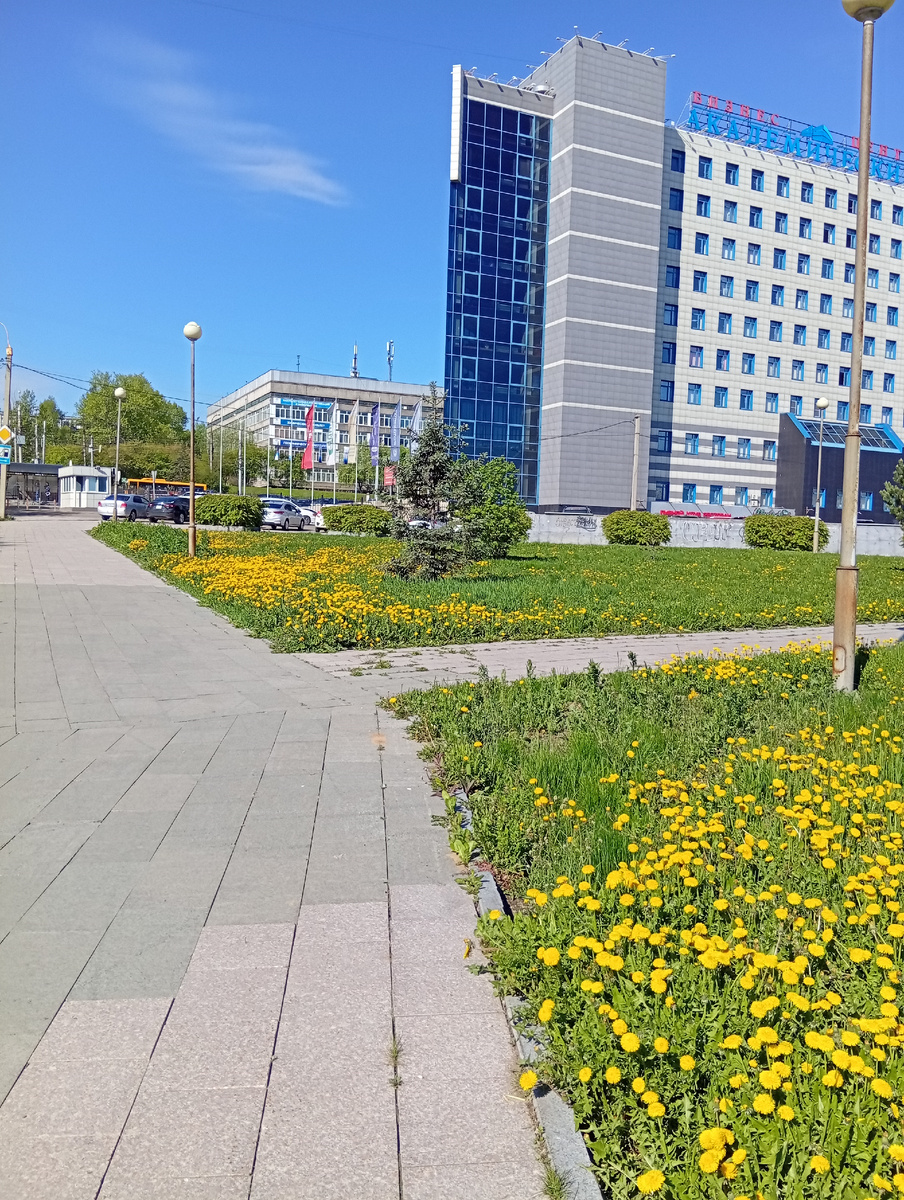 Фото автора.