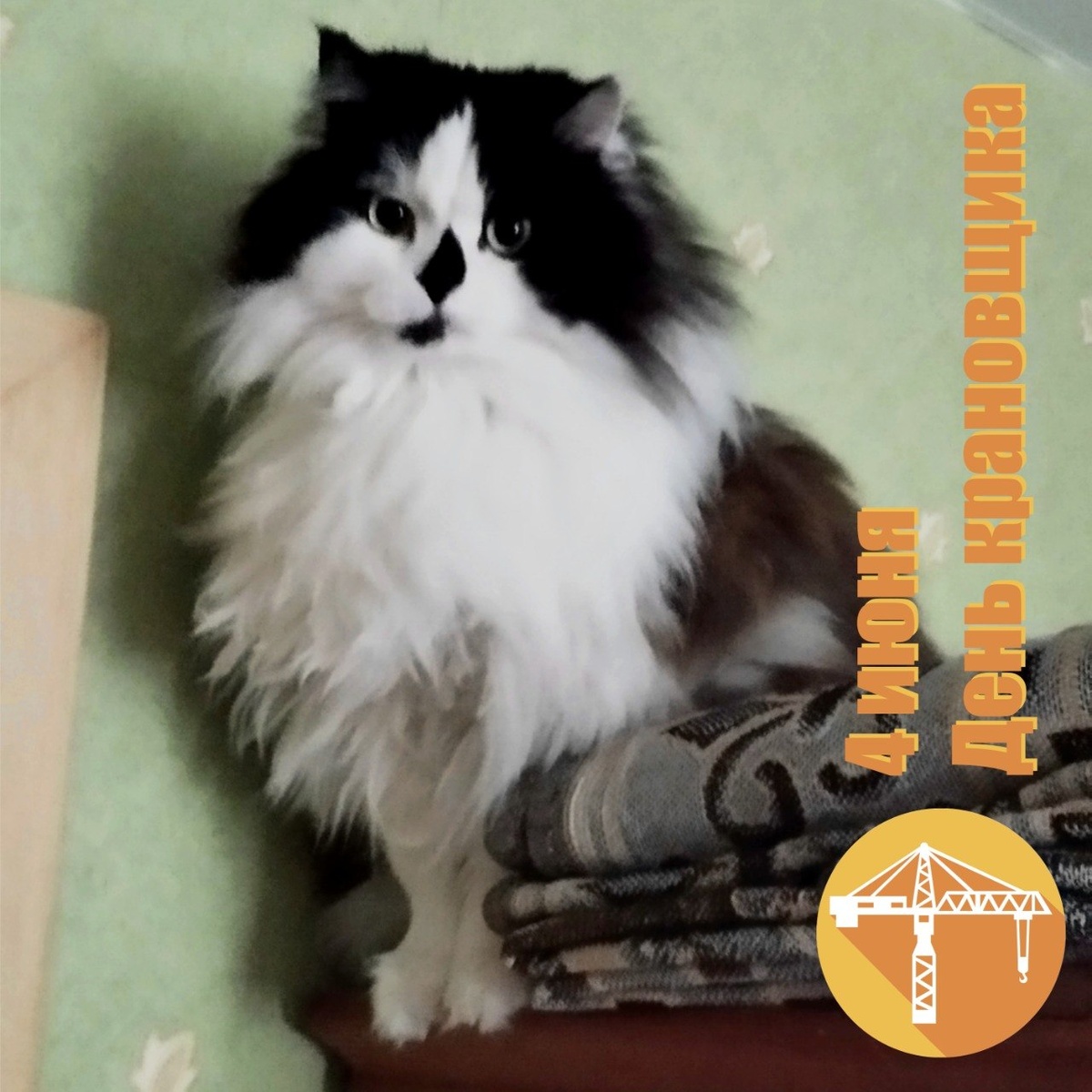 🐾 Комментарий Котейки По Имени Роршах: