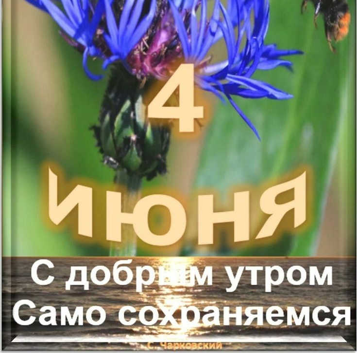 АСТРОпрогноз на 4 июня 2026 годаОвен ♈: Смело ведите переговоры, но с крупными сделками не спешите. Семейный совет решит старые споры.Телец ♉: Новые денежные перспективы и доверие в семье. Рискованные вложения отложите.Близнецы ♊: Смекалка на работе принесет результат. Вечером — душевный разговор о финансах.Рак ♋: Закрывайте рабочие долги, откажитесь от лишних трат. Делегируйте домашние дела.Лев ♌: Творчество на работе оценят и наградят. Вечер посвятите семье и планам на отпуск.Дева ♍: Наведите порядок в документах. В семье будьте мягче, чтобы не ссориться.Весы ♎: Ждите приятный денежный сюрприз. Помогите старшим родственникам.Скорпион ♏: Выбивайте лучшие условия по сделке. Избегайте сплетен, а вечером устройте семейный ужин.Стрелец ♐: Инновации на работе быстро окупятся. В семье — гармония, если не спорить.Козерог ♑: Дисциплина приведет к успеху. Не берите на себя чужие обязанности.Водолей ♒: Неожиданное деловое предложение окажется удачным. Перечитайте документы перед подписанием.Рыбы ♓: Интуиция подскажет выгодный вариант. Общение с детьми принесет радость.