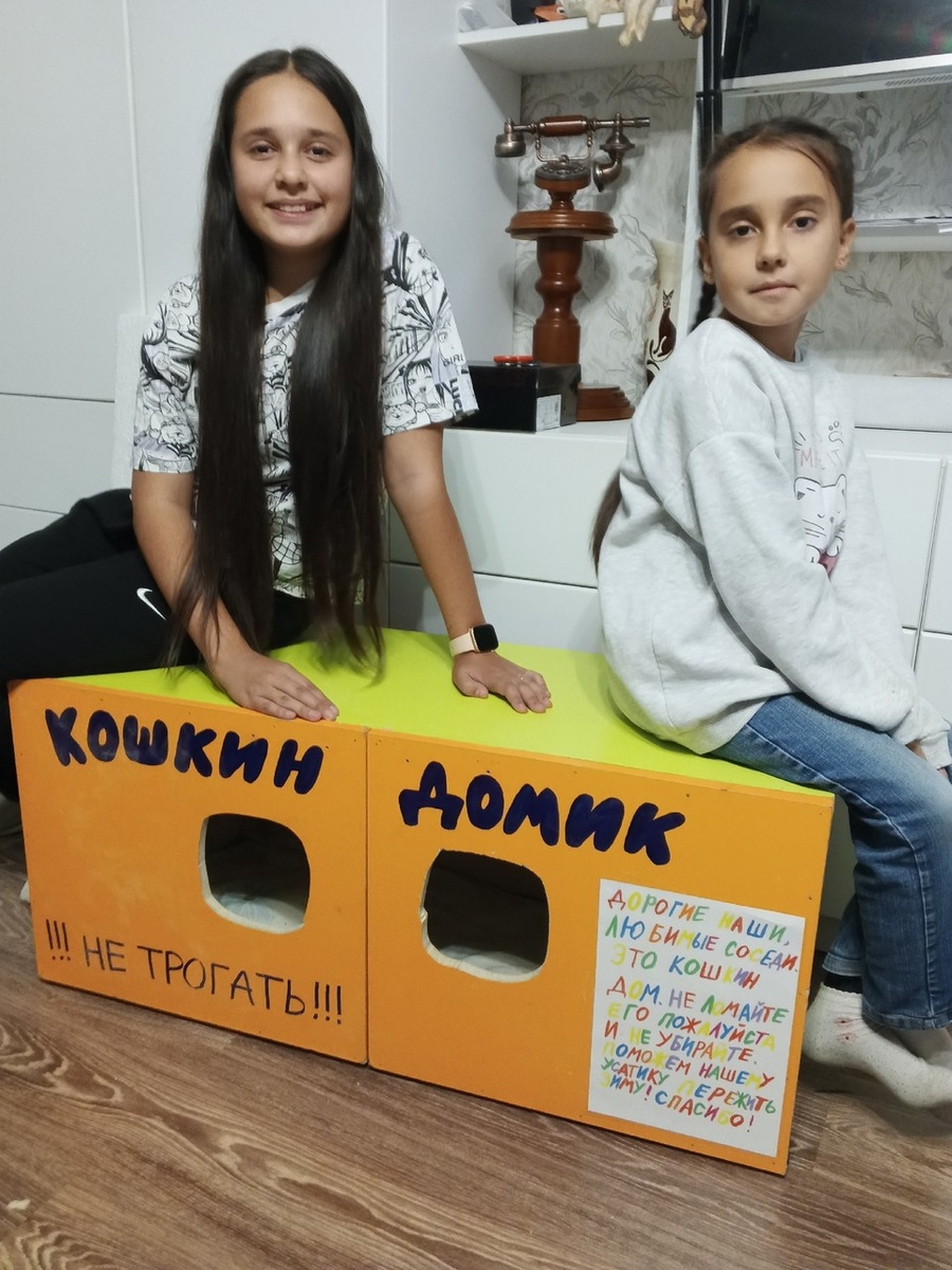    Для бездомных кошек девочка с друзьями и родными клеит картонные домики. Фото: личный архив семьи Барминых