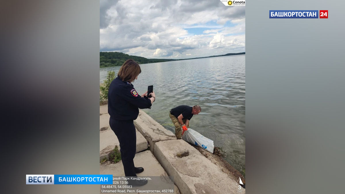    В Башкортостане в природном парке «Кандры-Куль» нашли 20 раколовок с 594 раками