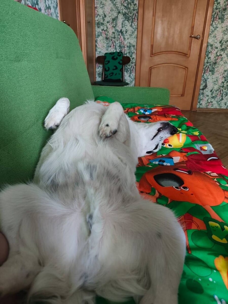 -2