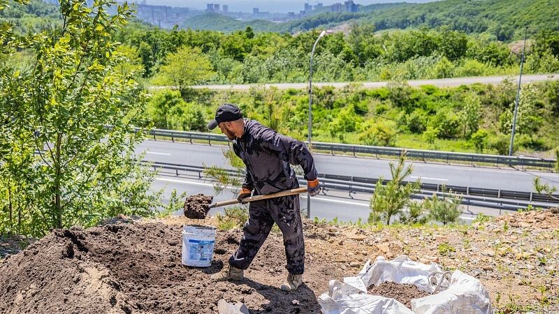   Владимир Нестеров / vlc.ru