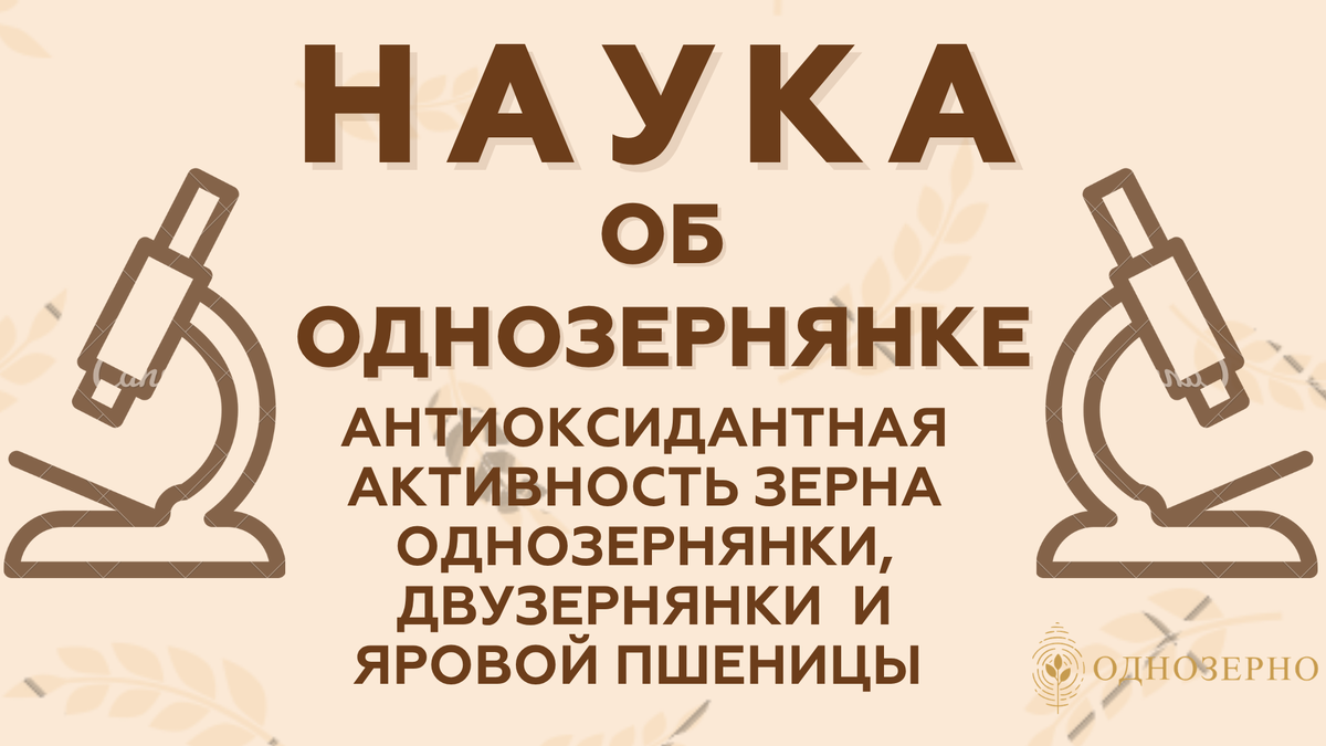 Кафедра химии, факультет агробиологии, пищевых ресурсов и природопользования, Чешский университет естественных наук, Прага, Чешская Республика