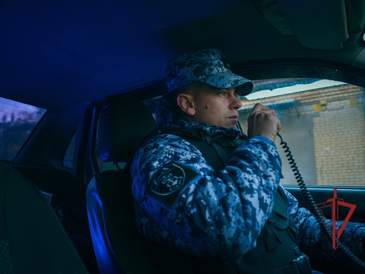     фото: https://58.rosguard.gov.ru